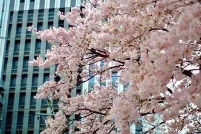 アーバンネット仙台中央ビル賞