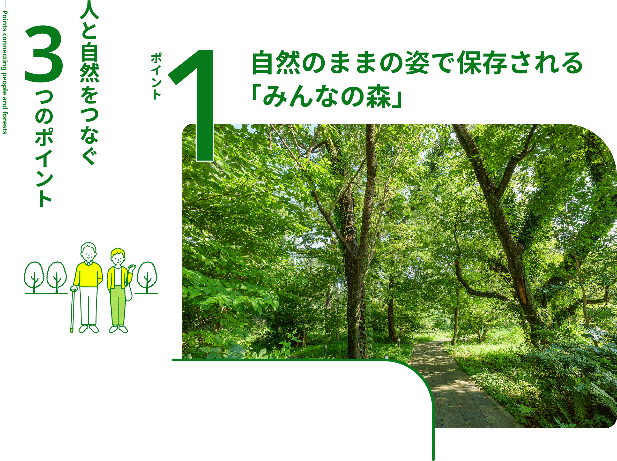 Points connecting people and forests 人と自然をつなぐ3つのポイント ポイント1 自然のままの姿で保存される「みんなの森」