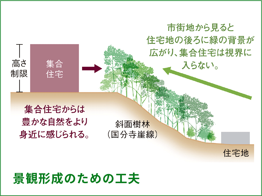 景観形成のための工夫 集合住宅 高さ制限 斜面樹林（国分寺崖線） 住宅地 市街地から見ると住宅地の後ろに緑の背景が広がり、集合住宅は視界に入らない。 集合住宅からは豊かな自然をより身近に感じられる。
