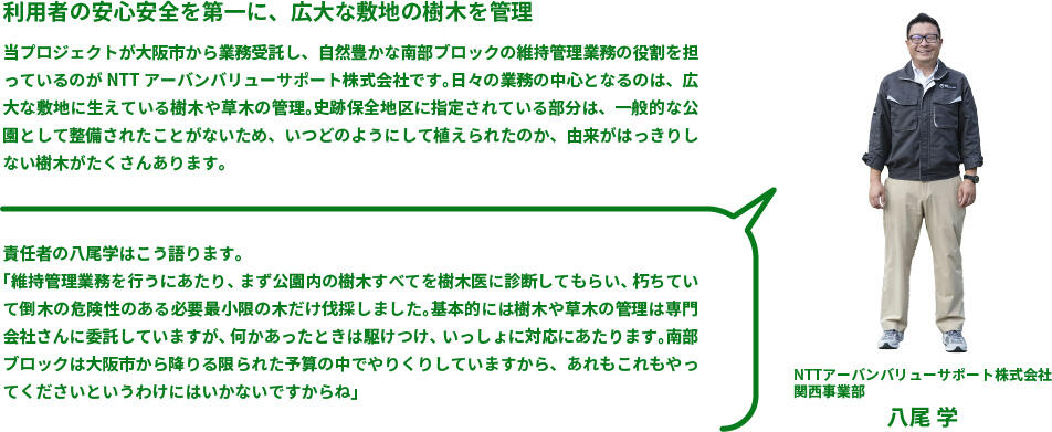 利用者の安心安全を第一に、広大な敷地の樹木を管理 当プロジェクトが大阪市から業務受託し、自然豊かな南部ブロックの維持管理業務の役割を担っているのがNTTアーバンバリューサポート株式会社です。日々の業務の中心となるのは、広大な敷地に生えている樹木や草木の管理。史跡保全地区に指定されている部分は、一般的な公園として整備されたことがないため、いつどのようにして植えられたのか、由来がはっきりしない樹木がたくさんあります。 責任者の八尾学はこう語ります。「維持管理業務を行うにあたり、まず公園内の樹木すべてを樹木医に診断してもらい、朽ちていて倒木の危険性のある必要最小限の木だけ伐採しました。基本的には樹木や草木の管理は専門会社さんに委託していますが、何かあったときは駆けつけ、いっしょに対応にあたります。南部ブロックは大阪市から降りる限られた予算の中でやりくりしていますから、あれもこれもやってくださいというわけにはいかないですからね」NTTアーバンバリューサポート株式会社 関西事業部 八尾 学