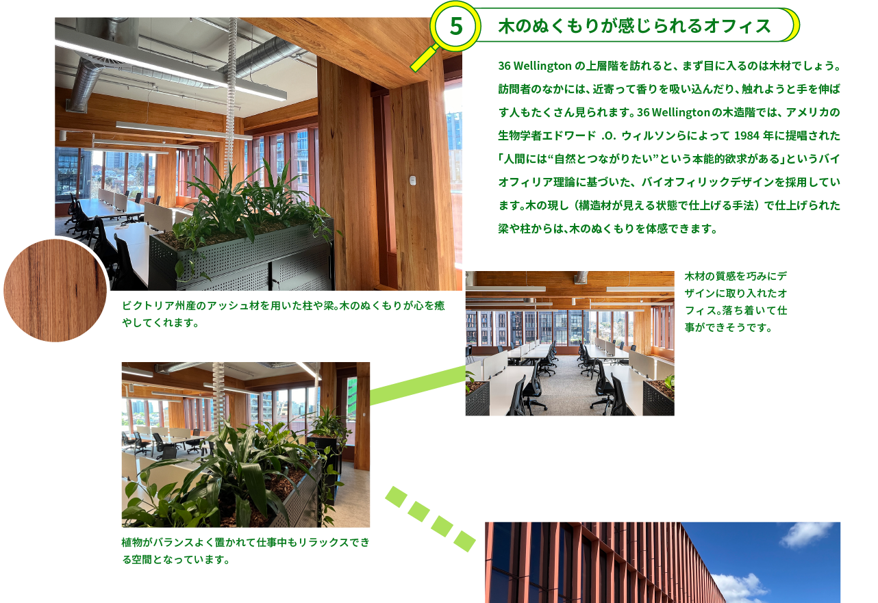 5.木のぬくもりが感じられるオフィス