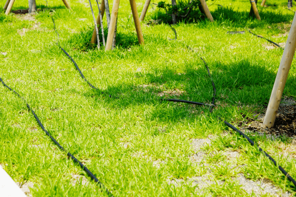 植栽には自動で水やり