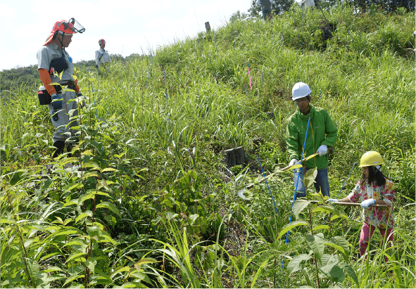 植樹後も定期的に木々の成長に応じた保全活動、2018年春に実施した下刈り作業の様子
