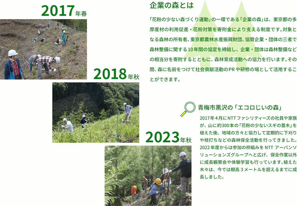 企業の森とは：「花粉の少ない森づくり運動」の一環である「企業の森」は、東京都の多摩産材の利用促進・花粉対策を寄附金により支える制度です。対象となる森林の所有者、東京都農林水産振興財団、協賛企業・団体の三者で森林整備に関する10年間の協定を締結し、企業・団体は森林整備などの相当分を寄附するとともに、森林育成活動への協力を行います。その間、森に名前をつけて社会貢献活動のPRや研修の場として活用することができます。　青梅市黒沢の「エコロじいの森」：2017年4月にNTTファシリティーズの社員や家族が、山に約300本の「花粉の少ないスギの苗木」を植えた後、地域の方々と協力して定期的に下刈りや枝打ちなどの森林保全活動を行ってきました。2022年度からは参加の枠組みをNTTアーバンソリューションズグループへと広げ、保全作業以外に成長観察会や体験学習も行っています。植えた木々は、今では樹高3メートルを超えるまでに成長しました。