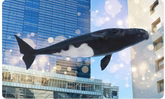 スポット② NTT品川TWINS前広場　《セミクジラの出現》のイメージ 画像