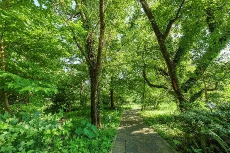 敷地内の「みんなの森」